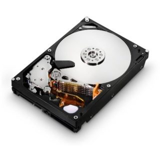 HGST Ultrastar A7K2000 HUA722010CLA330 - Festplatte - 1 TB, HUA722010CLA330