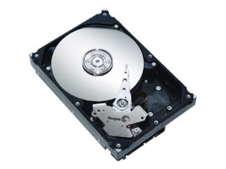 Seagate Barracuda 7200.9 ST3808110AS interne Festplatte 160 GB
