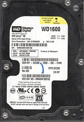 WD1600JS-75MHB0, DCM DSCACTJCA, Western Digital 160GB SATA 3.5 Festplatte