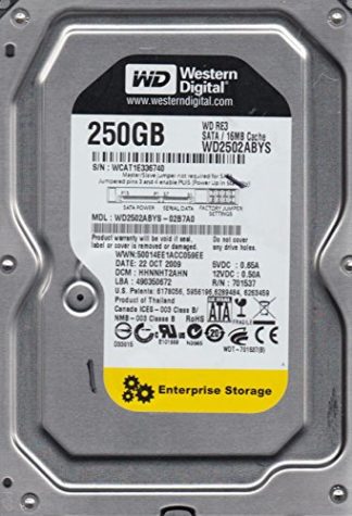 WD2502ABYS-02B7A0, DCM HHNNHT2AHN, Western Digital 250GB SATA 3.5 Festplatte